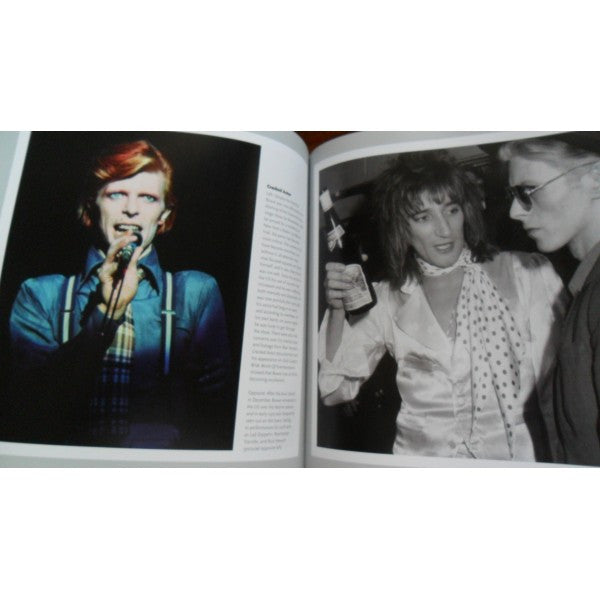 Bowie, David - The Illustrated Biography