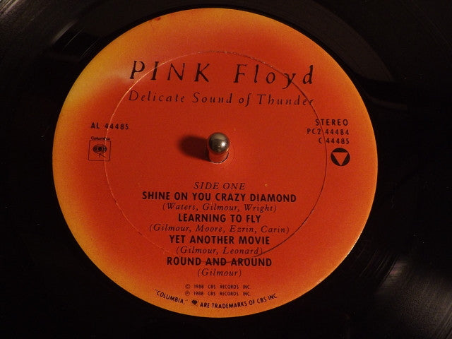 Pink Floyd - Delicate Sound Of Thunder.