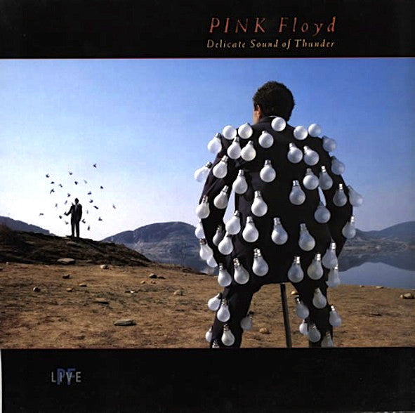 Pink Floyd - Delicate Sound Of Thunder.